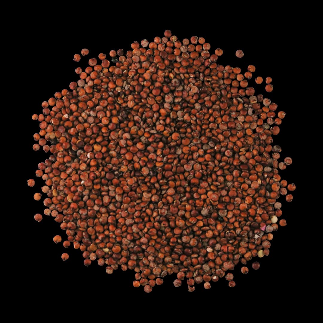 Organic Quinoa (1 lb)