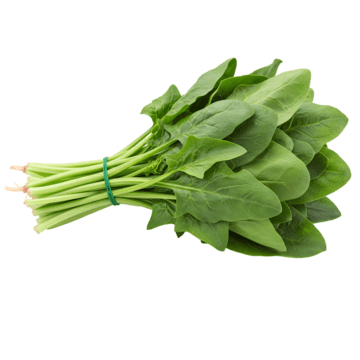 Organic Spinach (Fresh)